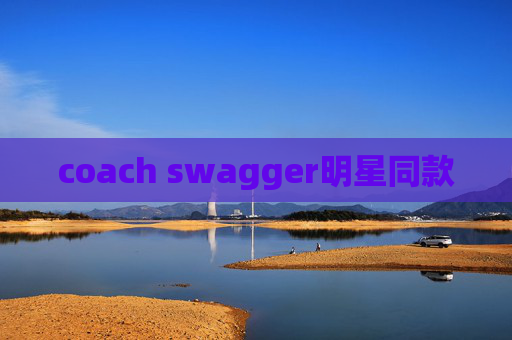 coach swagger明星同款